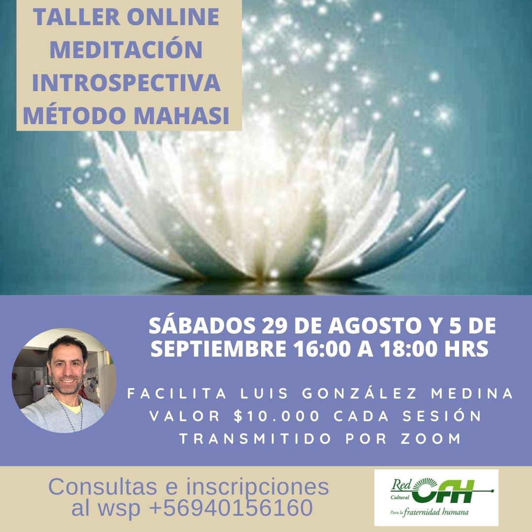 Taller Online Meditación Introspectiva Método Mahasi Ago-Sep 2020
